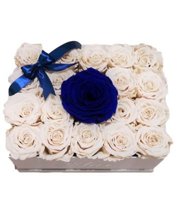 Rosas Eternas - Caja Personalizada con Rosas Eternas Combinadas