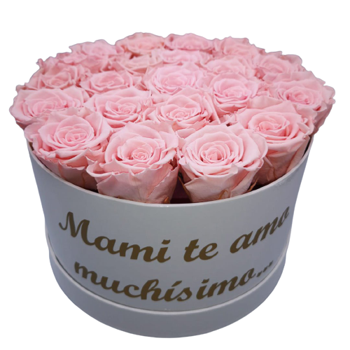 Caja Grande con Mensaje para Mama de Rosas Eternas 213715 nobg